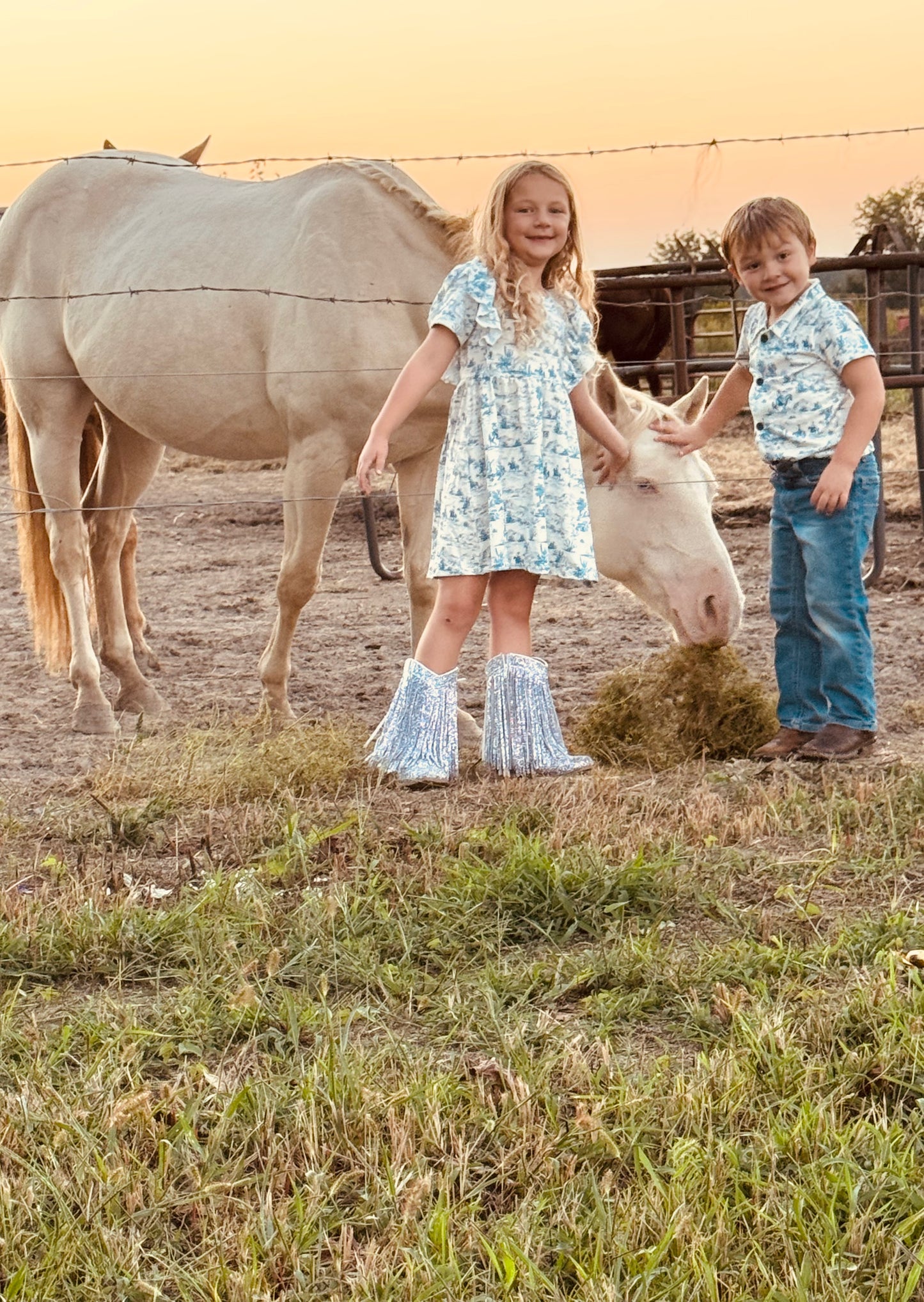 706 Vignette Cowboy Dress