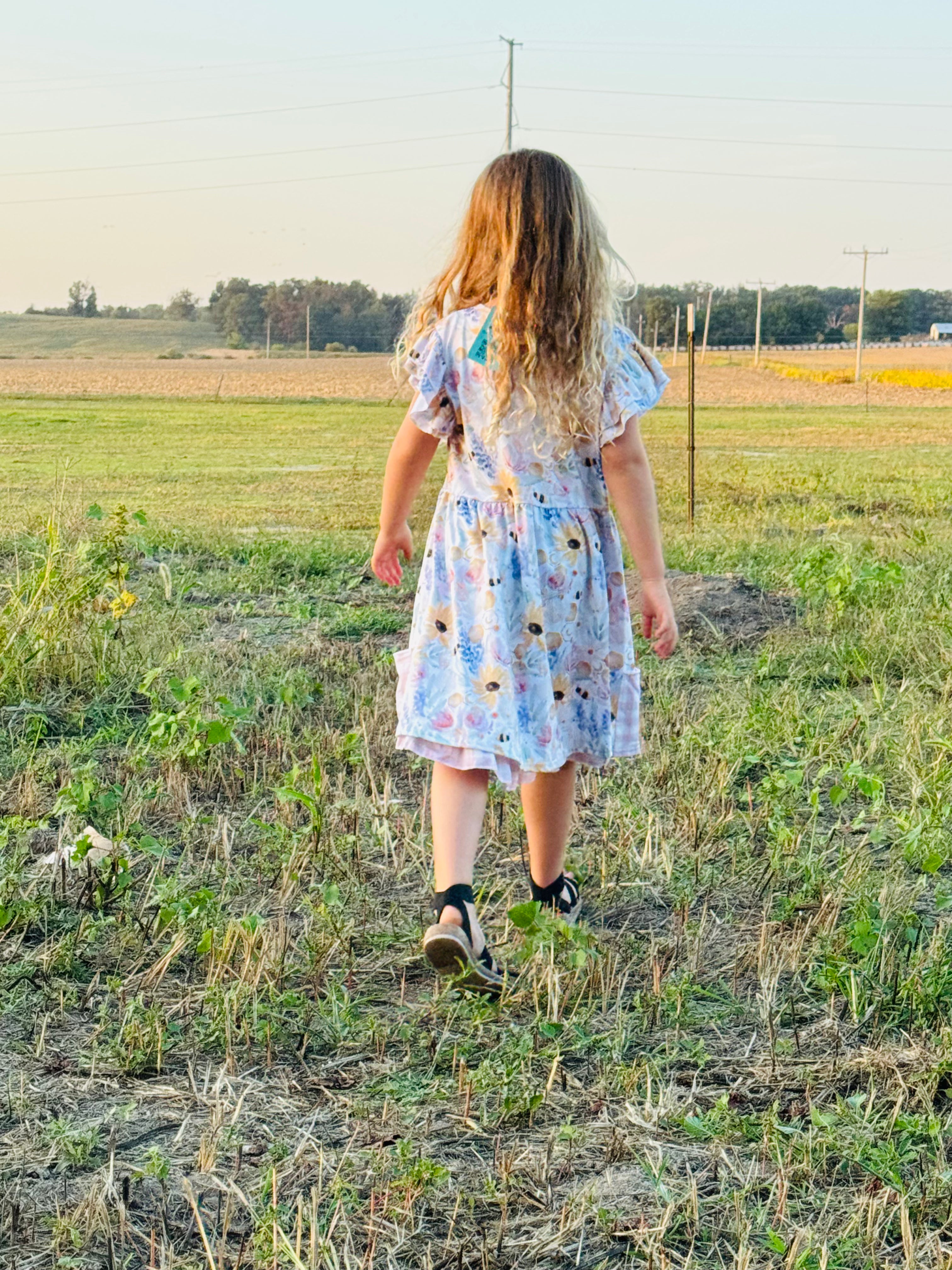 554 Bumble Bees and Flowers Dress
