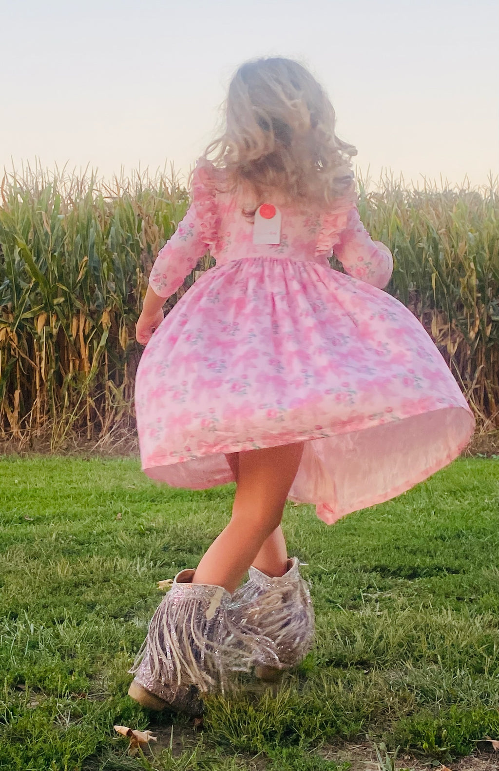 884 Heirloom Garden Twirl Dress
