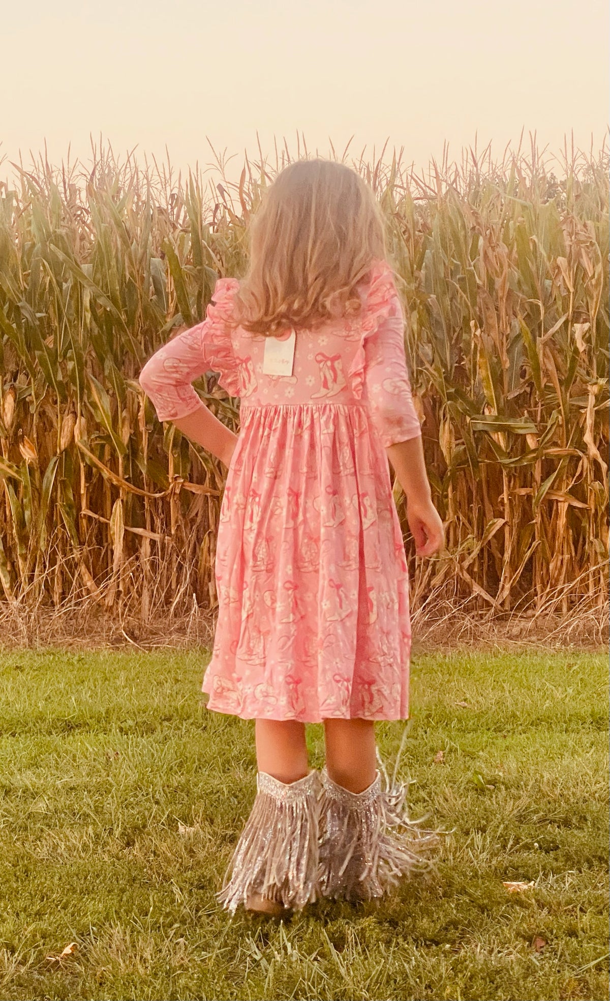 555-Pink Boots and Hats Twirl Dress