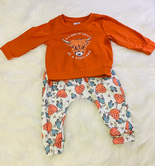 307-Highland Cow Set