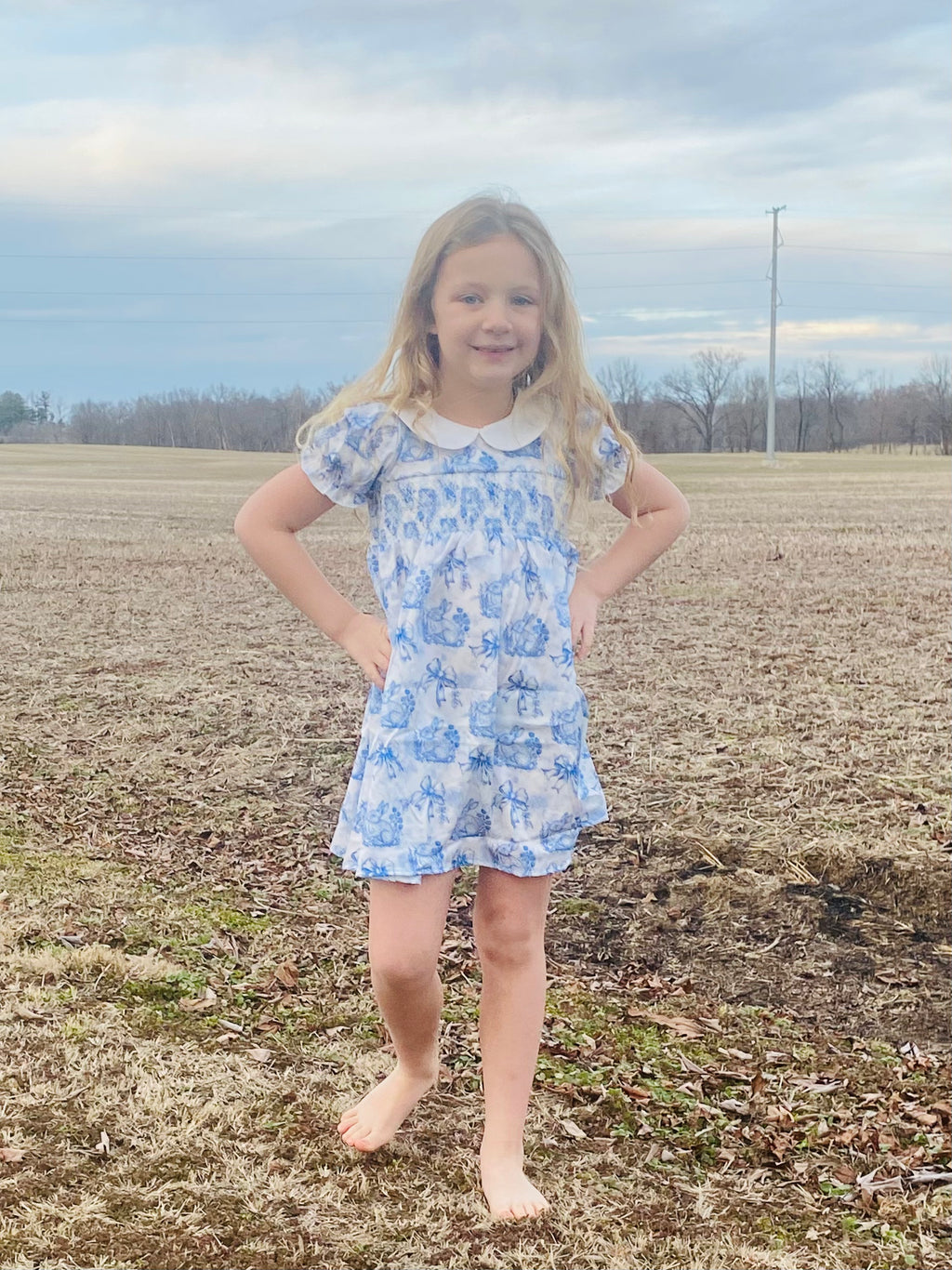 793 Azul Rabbit Smocked Dress