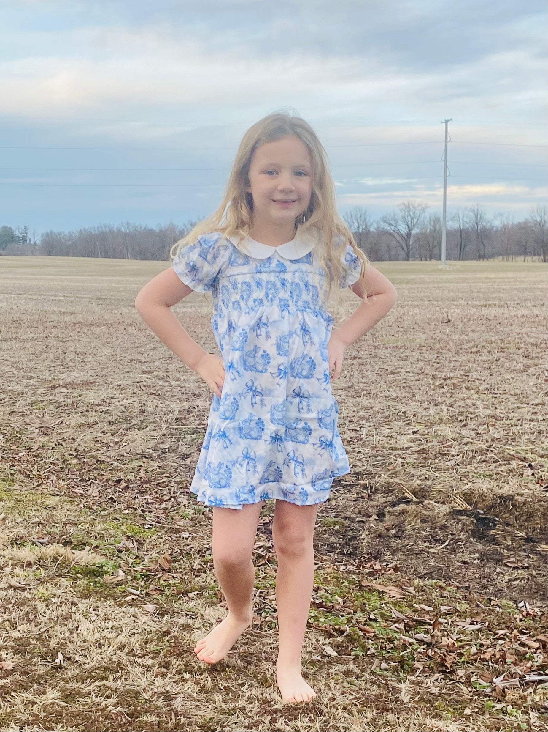 793 Azul Rabbit Smocked Dress