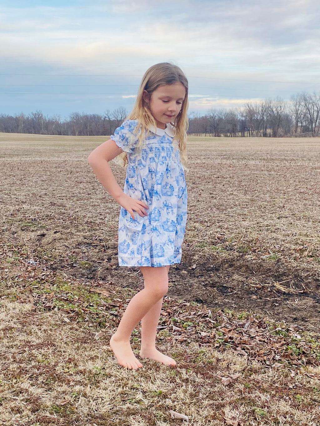 793 Azul Rabbit Smocked Dress