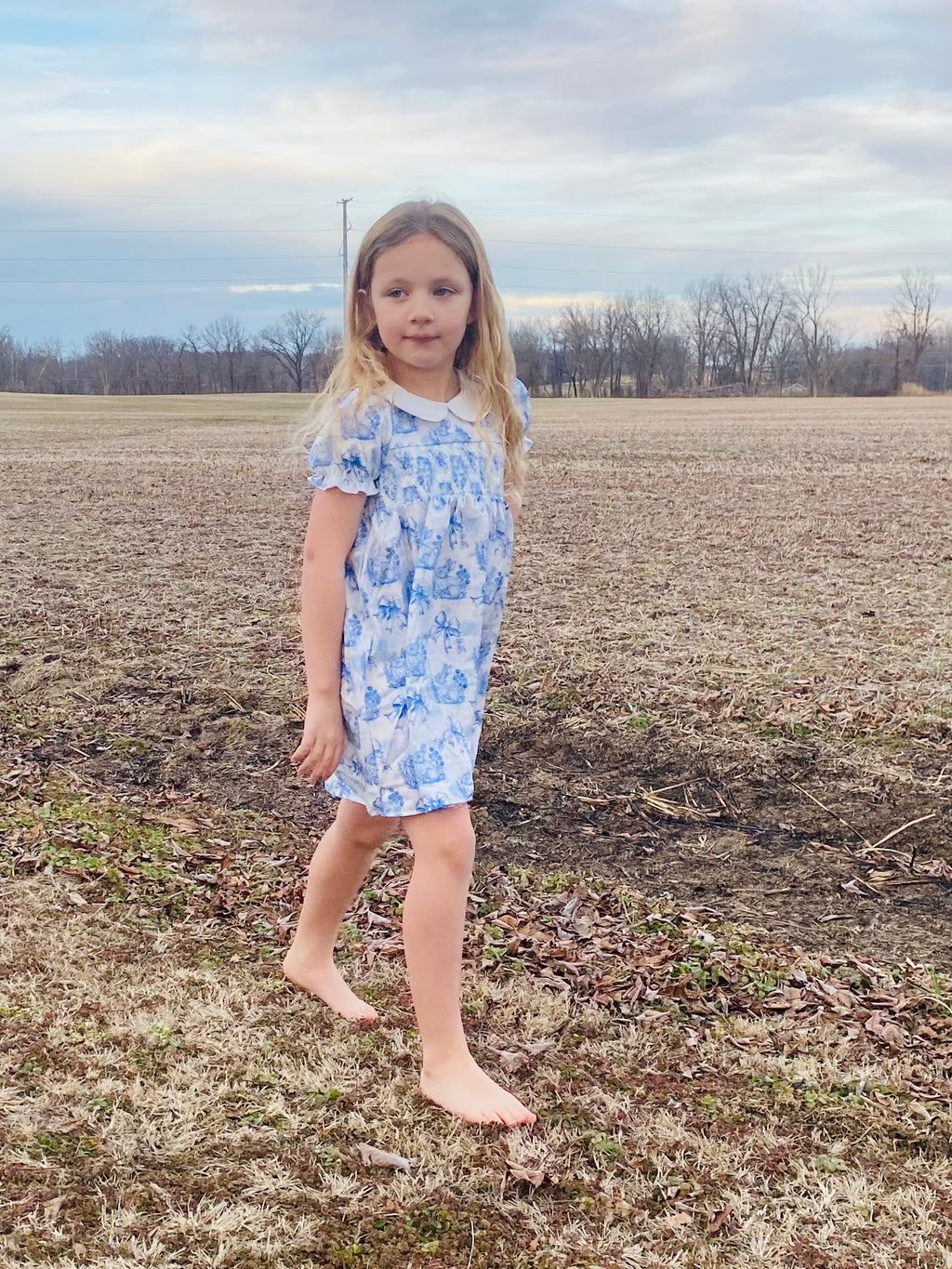 793 Azul Rabbit Smocked Dress