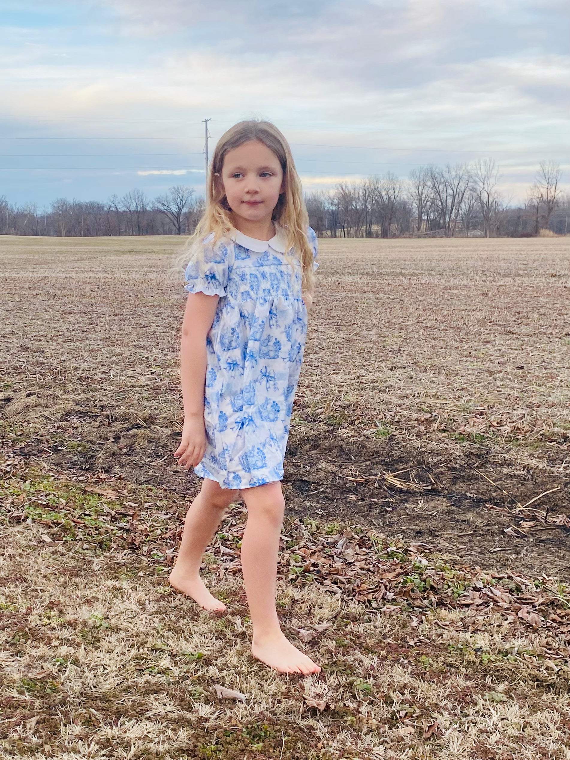 793 Azul Rabbit Smocked Dress