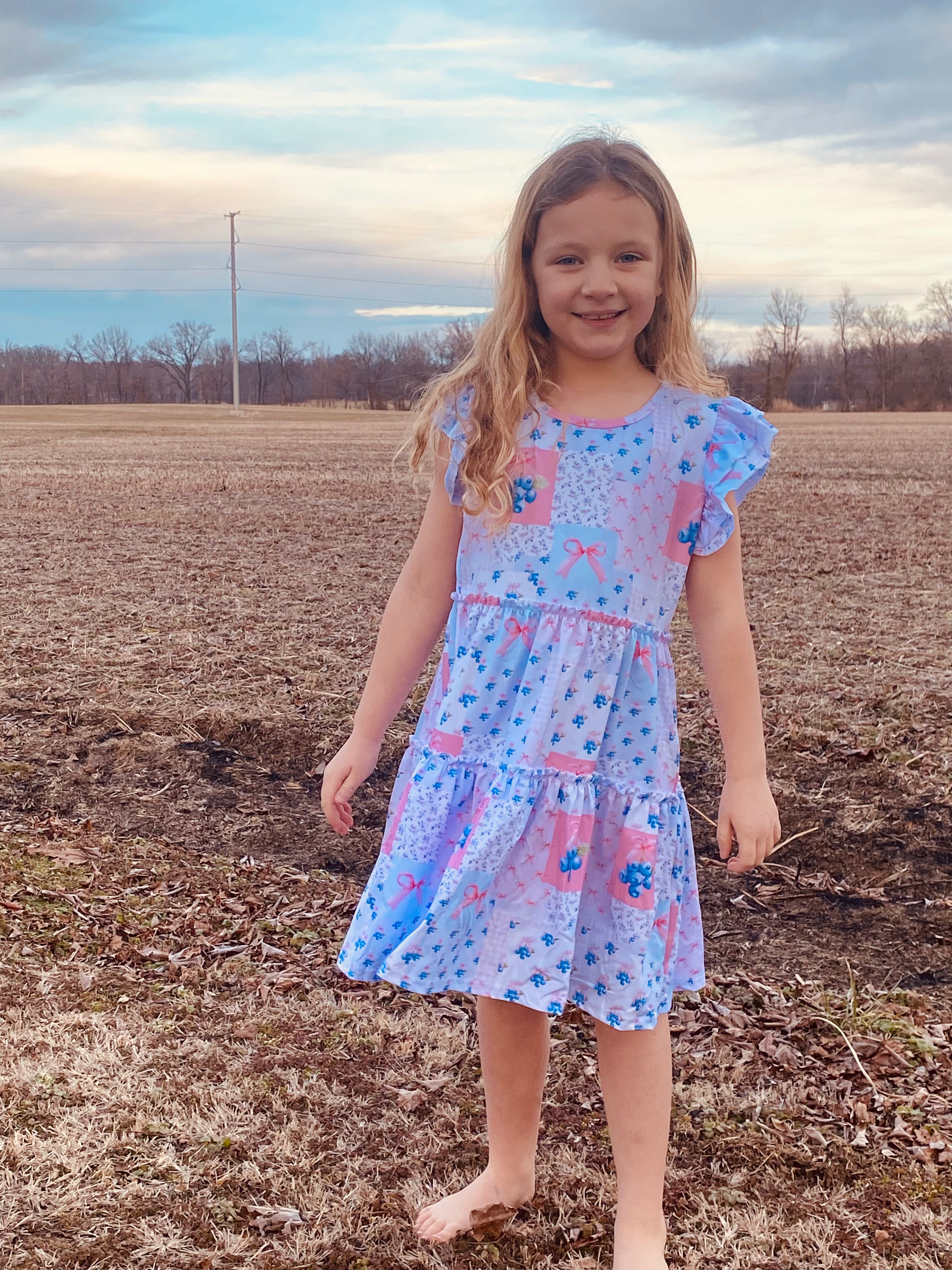 789 Blueberry Patch Dress